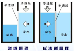 海水淡化
