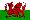 Wales . periodick� tabulka ve wel�tin� 