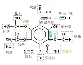 官能团辨识